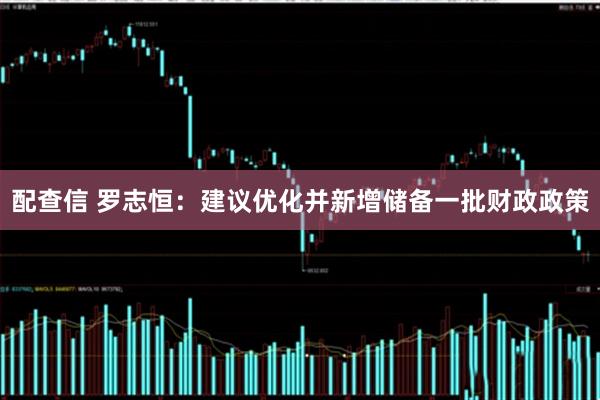 配查信 罗志恒：建议优化并新增储备一批财政政策